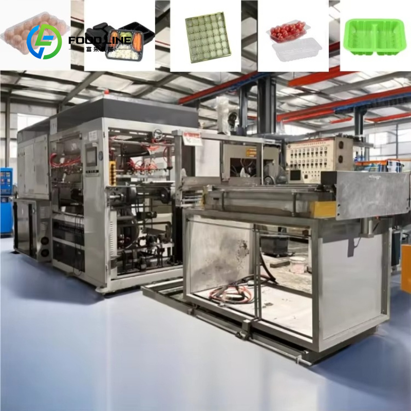 Food Storage Technology - Máquina Personalizada para Fabricar Bandejas de