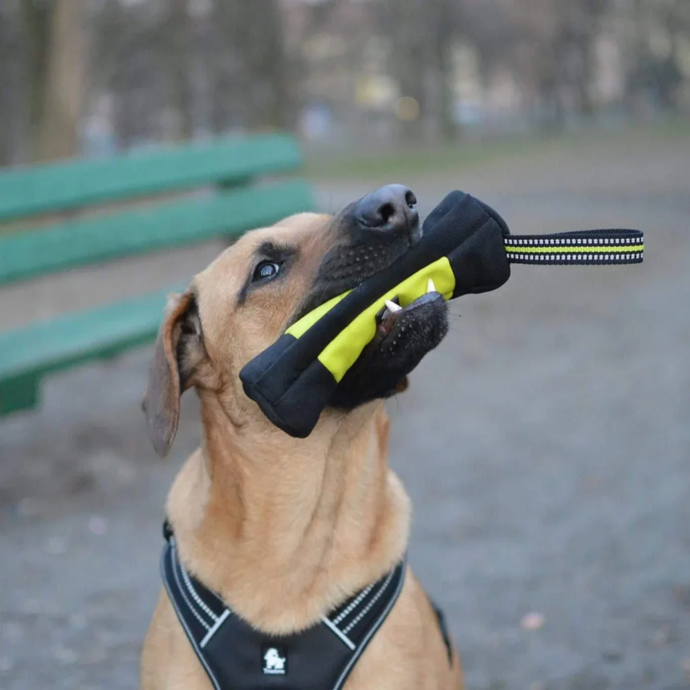 Truelove Dog Training Retrieve - Food Storage Zipper Bags reseña y precio